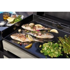 Plancha électrique Forge Adour PREMIUM 60 Acier Noir Et Gris -Le Monde du Barbecue Soldes Boutique cuisson plancha premium 1